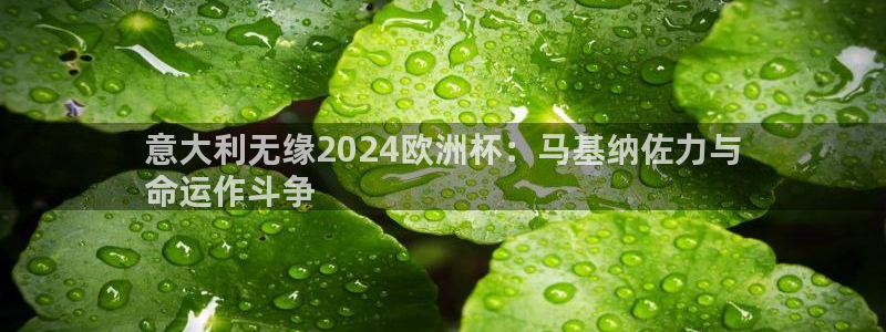 欧洲杯直播平台：意大利无缘2024欧洲杯：马基纳佐力与
命运作斗争