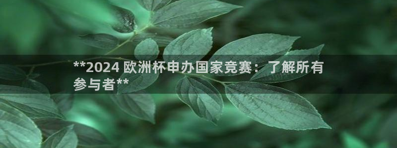 网上哪个平台可以买足球：**2024 欧洲杯申办国家竞赛：了解所有
参与者**