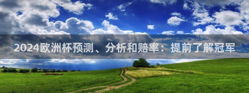 欧洲杯在哪个网站购买：2024欧洲杯预测、分析和赔率：提前了解冠军