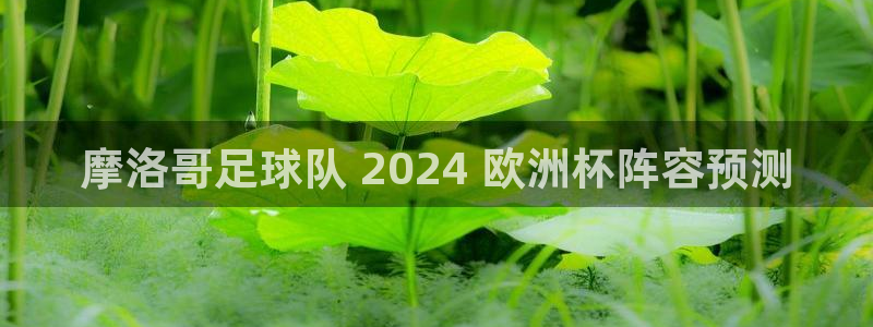 欧洲杯竞猜软件|摩洛哥足球队 2024 欧洲杯阵容预测