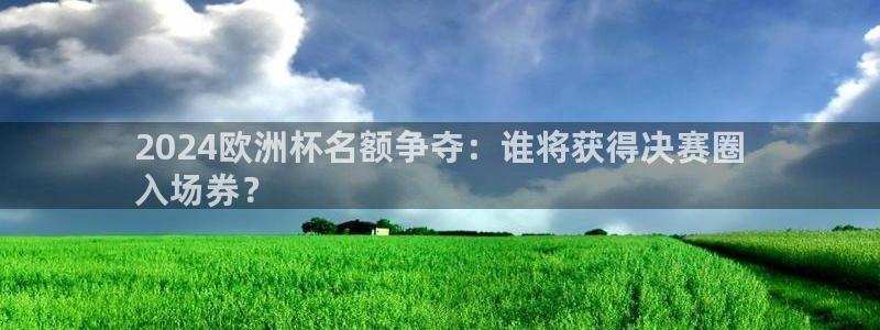 网上哪个平台可以买足球|2024欧洲杯名额争夺：谁将获得决赛圈
入场券？