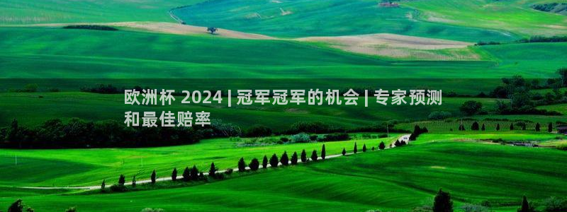 欧洲杯押注怎么买|欧洲杯 2024 | 冠军冠军的机会 | 专家预测
和最佳赔率