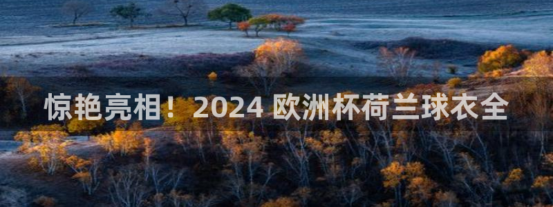 2024欧洲杯买球手机版|惊艳亮相！2024 欧洲杯荷兰球衣全