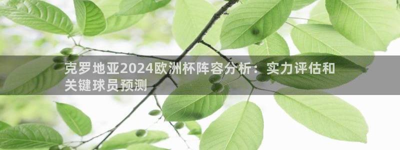 2024正规欧洲杯平台|克罗地亚2024欧洲杯阵容分析：实力评估和
关键球员预测