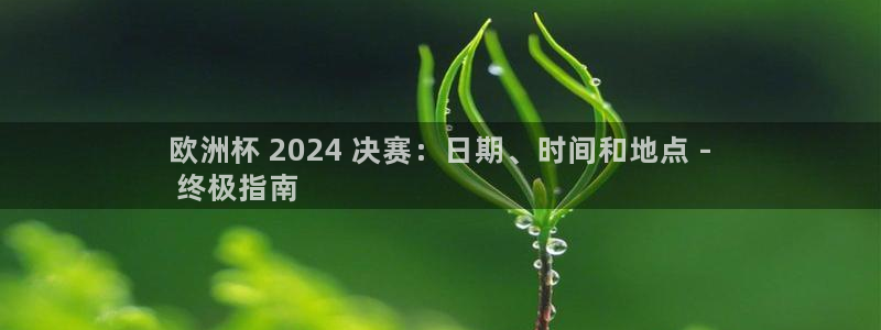 欧洲杯下单平台官网网址|欧洲杯 2024 决赛：日期、时间和地点 -
 终极指南