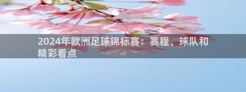 欧洲杯官网|2024年欧洲足球锦标赛：赛程、球队和
精彩看点